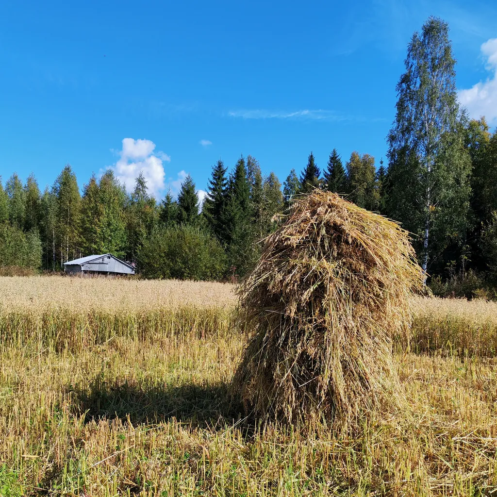 lukijan-kuva-ht-rij-rven-uutisnuotta